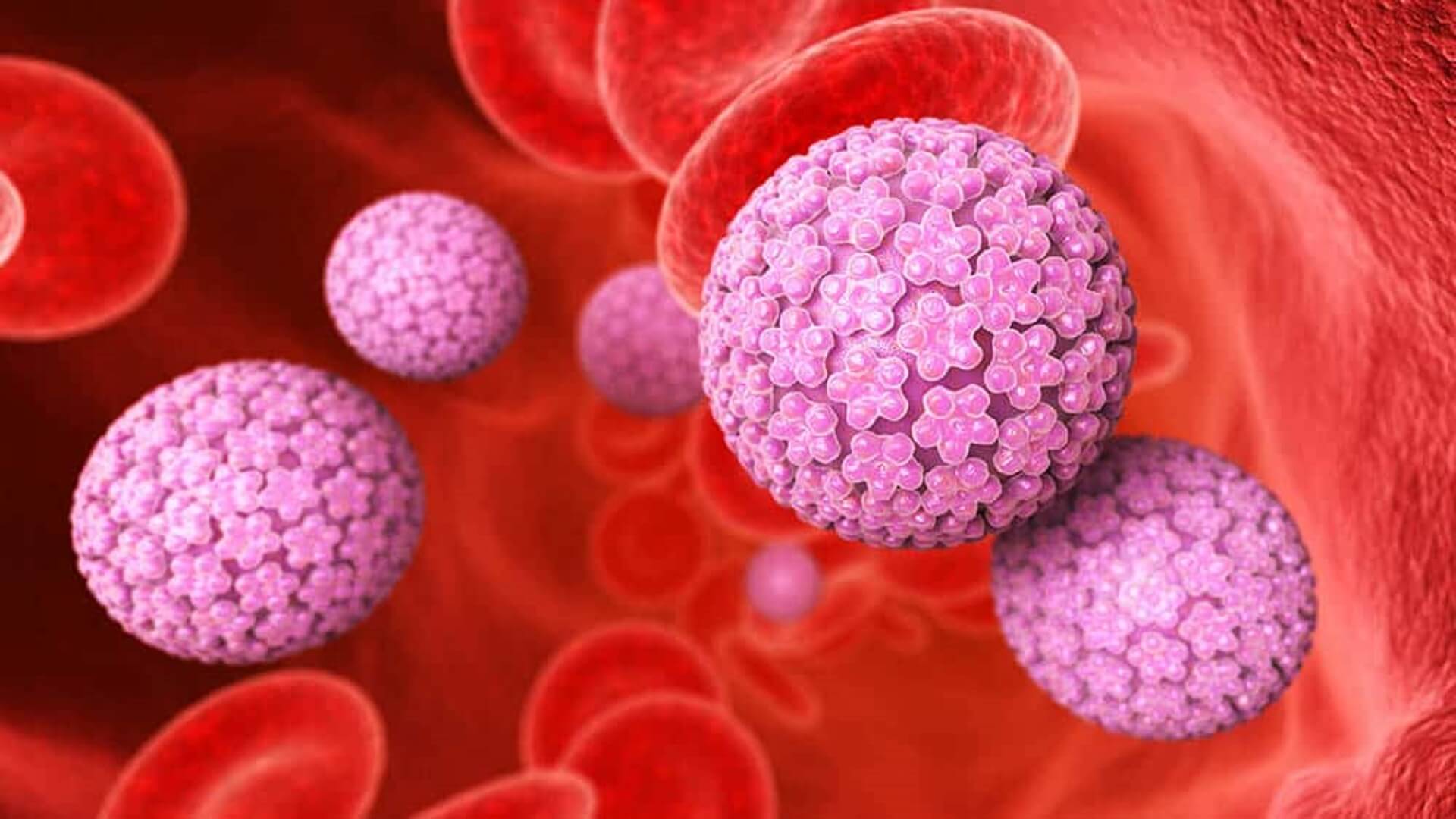 Vírus HPV: tudo sobre ele e os seus riscos - Clinica Croce